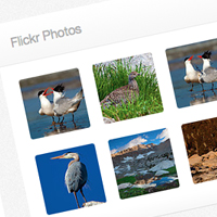 Create a Basic Flickr Widget Using the Widget API