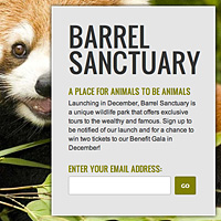 How to Create a Viral Launch Page with WordPress