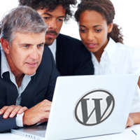 Quick Tip: Guidelines for Improving WordPress Themes