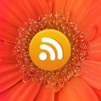 Add the WordPress RSS Feed Anywhere In Your Theme