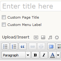 Use WordPress as a CMS (Content Management System)