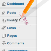 Customizing Your WordPress Admin