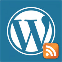 Tips to Customize and Optimize Your Blog’s Feed