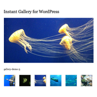 How to Create an Instant Image Gallery Plugin for WordPress
