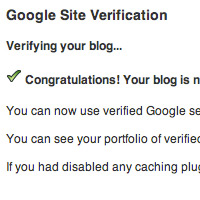 Connecting a WordPress Domain to Google Apps